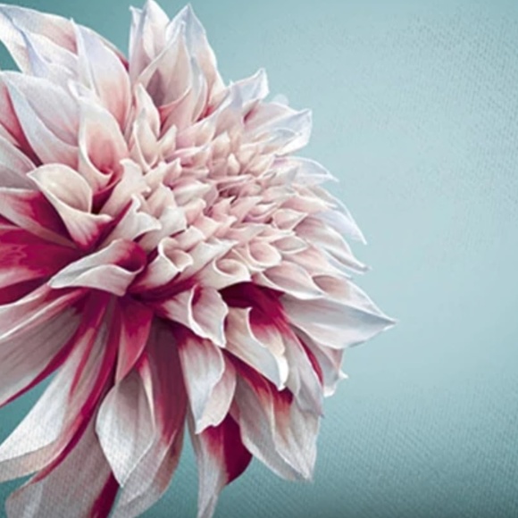 3D Dahlia Print Cosmetic Bag - Picture 2 of 4